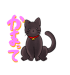 ねこらしい猫シャリス（個別スタンプ：2）