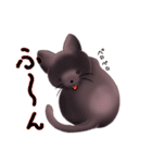 ねこらしい猫シャリス（個別スタンプ：13）
