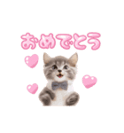 ▶︎動く！ほんわか♡ねこ（個別スタンプ：12）