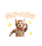 ▶︎動く！ほんわか♡ねこ（個別スタンプ：17）