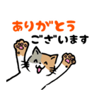 ゆるねこの日常01（個別スタンプ：21）