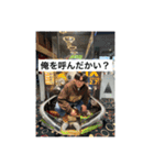 よかちゃースタンプ第4弾（個別スタンプ：19）