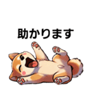 【柴犬】敬語あいさつ（個別スタンプ：7）