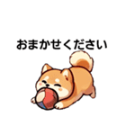 【柴犬】敬語あいさつ（個別スタンプ：12）