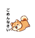 【柴犬】敬語あいさつ（個別スタンプ：13）