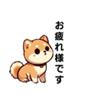 【柴犬】敬語あいさつ（個別スタンプ：15）
