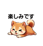 【柴犬】敬語あいさつ（個別スタンプ：16）