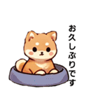 【柴犬】敬語あいさつ（個別スタンプ：18）