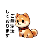 【柴犬】敬語あいさつ（個別スタンプ：30）