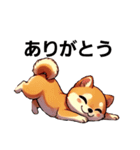 【柴犬】敬語あいさつ（個別スタンプ：31）