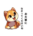 【柴犬】敬語あいさつ（個別スタンプ：34）