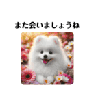 かわいいスピッツ仔犬の日常会話スタンプ5（個別スタンプ：31）