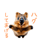 ハッピーアニマル_クオッカワラビー31（個別スタンプ：3）