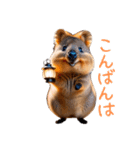 ハッピーアニマル_クオッカワラビー31（個別スタンプ：9）