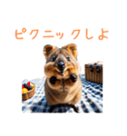 ハッピーアニマル_クオッカワラビー31（個別スタンプ：30）