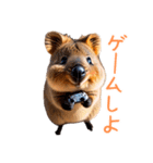 ハッピーアニマル_クオッカワラビー31（個別スタンプ：31）