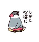 お江戸文鳥（個別スタンプ：2）