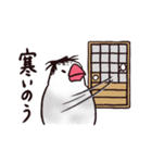 お江戸文鳥（個別スタンプ：18）