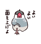 お江戸文鳥（個別スタンプ：37）