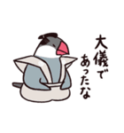 お江戸文鳥（個別スタンプ：38）