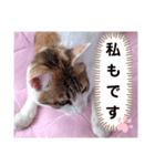 み〜ちゃんの日常会話と気持ちのスタンプ（個別スタンプ：2）