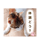 み〜ちゃんの日常会話と気持ちのスタンプ（個別スタンプ：5）