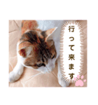 み〜ちゃんの日常会話と気持ちのスタンプ（個別スタンプ：8）
