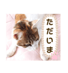 み〜ちゃんの日常会話と気持ちのスタンプ（個別スタンプ：9）