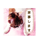 み〜ちゃんの日常会話と気持ちのスタンプ（個別スタンプ：14）