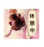 み〜ちゃんの日常会話と気持ちのスタンプ（個別スタンプ：23）