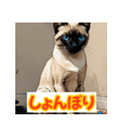 ニャー表情（個別スタンプ：3）