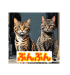 ニャー表情（個別スタンプ：32）