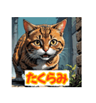ニャー表情（個別スタンプ：37）