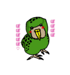 動物ラボ2（個別スタンプ：1）
