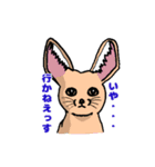 動物ラボ2（個別スタンプ：6）