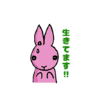 動物ラボ2（個別スタンプ：8）