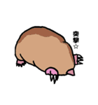 動物ラボ2（個別スタンプ：11）
