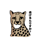 動物ラボ2（個別スタンプ：13）