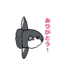 動物ラボ2（個別スタンプ：16）