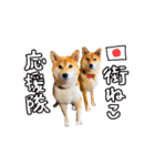 2024日本ネコスク•街ねこ名前スタンプ（個別スタンプ：10）