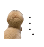 喧嘩売ってる犬（個別スタンプ：8）