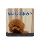 ピノくんのもふもふスタンプ（個別スタンプ：5）