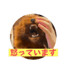 ピノくんのもふもふスタンプ（個別スタンプ：6）
