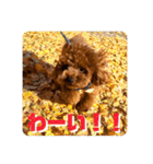 ピノくんのもふもふスタンプ（個別スタンプ：7）