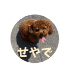 ピノくんのもふもふスタンプ（個別スタンプ：10）