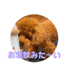 ピノくんのもふもふスタンプ（個別スタンプ：13）