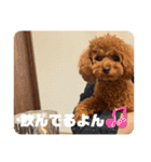 ピノくんのもふもふスタンプ（個別スタンプ：14）