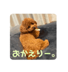 ピノくんのもふもふスタンプ（個別スタンプ：18）