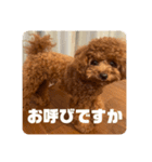 ピノくんのもふもふスタンプ（個別スタンプ：19）