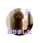 ピノくんのもふもふスタンプ（個別スタンプ：24）